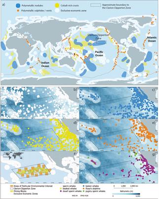 Urgent assessment needed to evaluate potential impacts on cetaceans from deep seabed mining